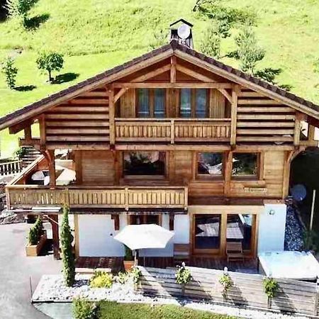 Androsace Appartement Dans Chalet Bois Avec Jacuzzi Privatif Terrasse Et Vue Montagne Les Villards-sur-Thônes 외부 사진
