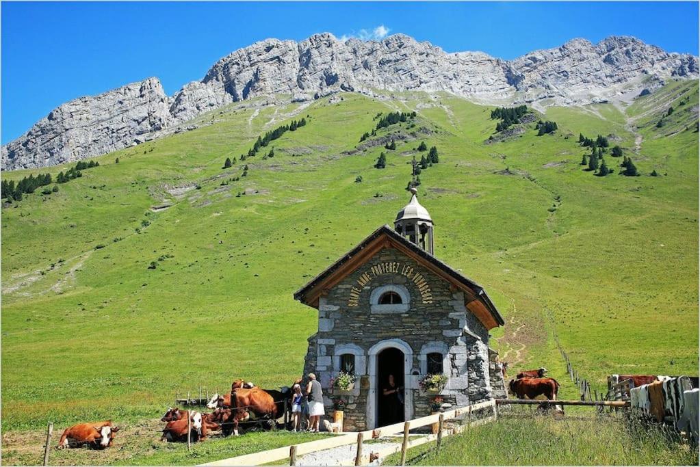Androsace Appartement Dans Chalet Bois Avec Jacuzzi Privatif Terrasse Et Vue Montagne Les Villards-sur-Thônes 외부 사진