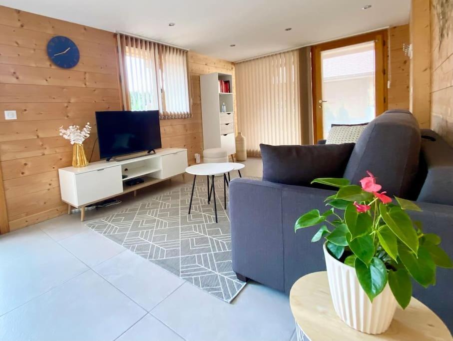Androsace Appartement Dans Chalet Bois Avec Jacuzzi Privatif Terrasse Et Vue Montagne Les Villards-sur-Thônes 외부 사진