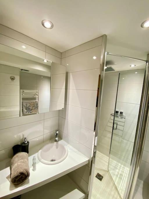 Androsace Appartement Dans Chalet Bois Avec Jacuzzi Privatif Terrasse Et Vue Montagne Les Villards-sur-Thônes 외부 사진