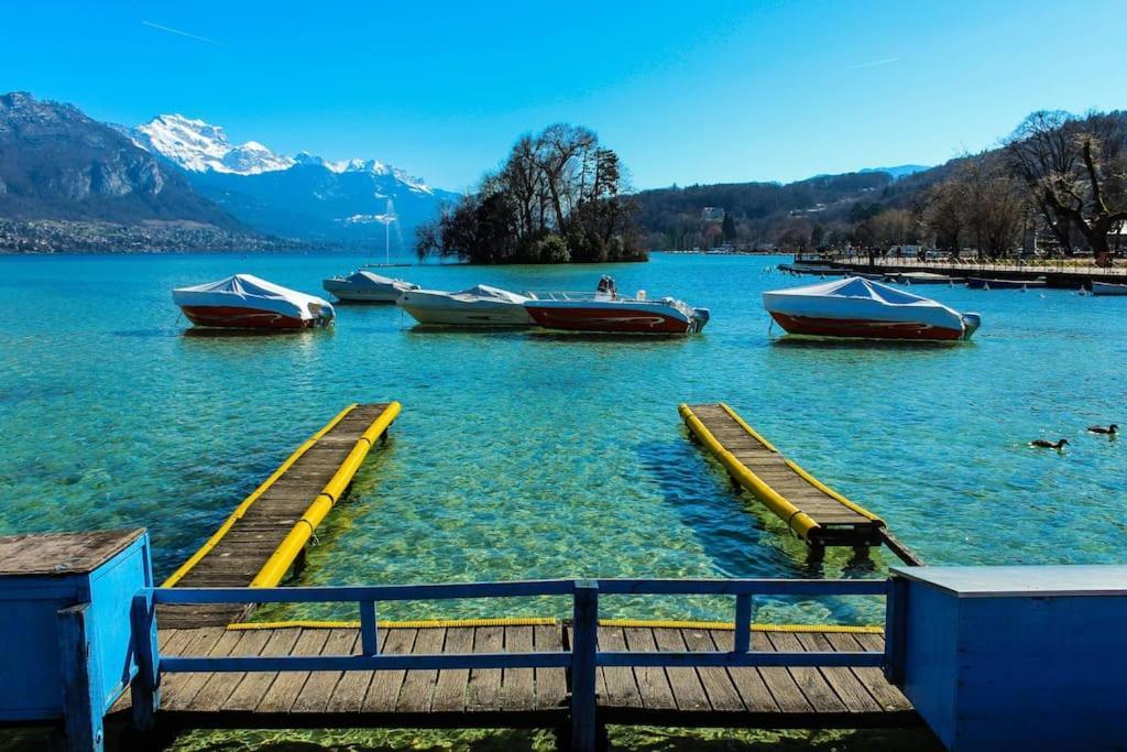 Androsace Appartement Dans Chalet Bois Avec Jacuzzi Privatif Terrasse Et Vue Montagne Les Villards-sur-Thônes 외부 사진