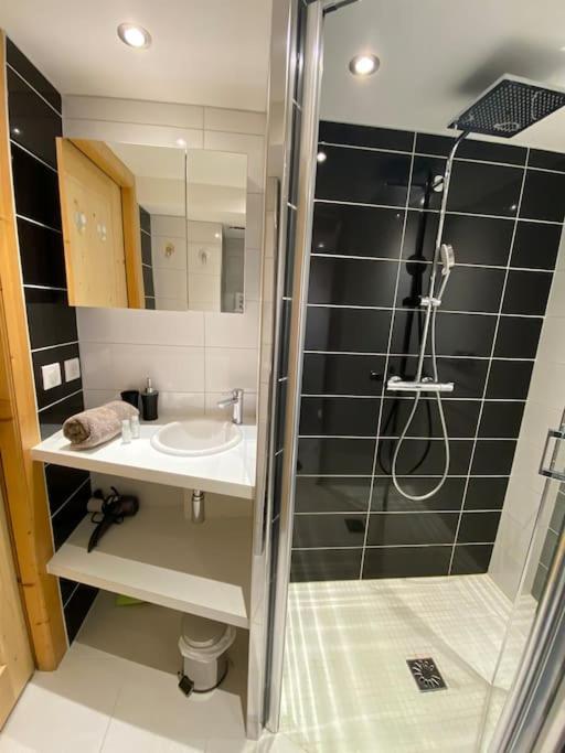 Androsace Appartement Dans Chalet Bois Avec Jacuzzi Privatif Terrasse Et Vue Montagne Les Villards-sur-Thônes 외부 사진